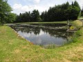 Forêt de Planoise et Etang du Martinet