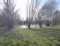 Petit étang