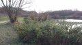 Forêt de Larçay Forêt de Larçay