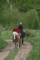 Petit galop sur les chemins du Livradois