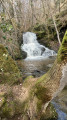 Petit Gornand