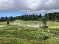 Petit lac sans nom