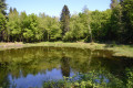 Petit lac