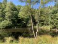 Petit lac