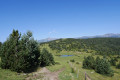 Petit laquet dans le col