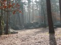 petit matin aux 3 pignons petit matin aux 3 pignons
