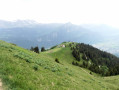 Petit Môle