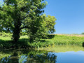 Des vignobles du Beaujolais aux bois d'Alix, autour de Bagnols Des vignobles du Beaujolais aux bois d'Alix, autour de Bagnols