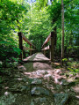 Petit pont de bois Petit pont de bois