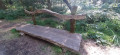 Petit pont de bois