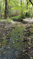 Petit pont de bois Petit pont de bois