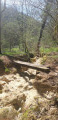 Petit pont de bois