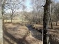 Petit pont de bois