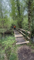Petit pont de bois