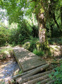 Petit pont de bois