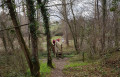 Petit pont de bois... Petit pont de bois...