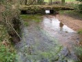 Petit pont de pierre
