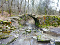Au fil de l'Ourthe entre Bohon et Bomal