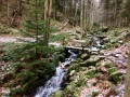 Petit pont en bois Petit pont en bois