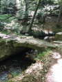 Entre forêt et Rigole en Montagne Noire