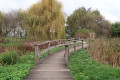 Petit pont