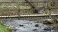 Petit pont