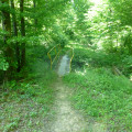 Petit pont