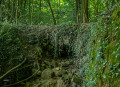 Petit pont