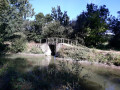 Petit pont