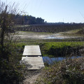 Petit pont