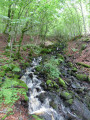 Forêt de Montbert et Lac Chauvet