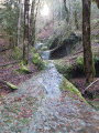 Petit ruisseau venant du plateau de Saules (env. 900 m après le pont des fagots).