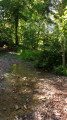 Petit ruisseau