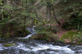 Petit ruisseau
