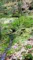 Petit ruisseau ...