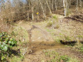 Petit ruisseau