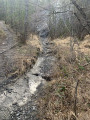 Petit ruisseau
