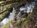 Petit ruisseau