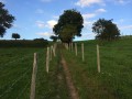 Petit sentier entre les pâtures
