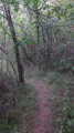 Petit sentier intime
