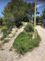 Sentier
