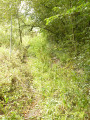 Petit sentier