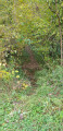 petit sentier