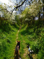 Petit sentier