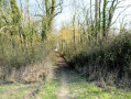 Petit sentier