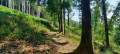 PETIT SENTIER