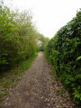 Petit sentier