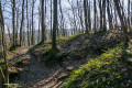 Petit talweg