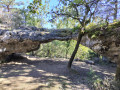 Petite arche arrondie