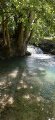 Aux sources de la Saâne par Val-de-Saâne Aux sources de la Saâne par Val-de-Saâne